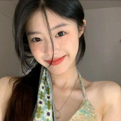 成语中状元中文版下载